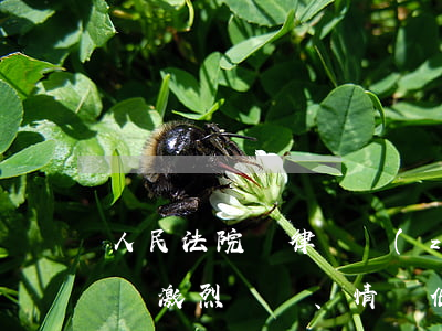 人民法院報：律師執(zhí)業(yè)言辭激烈、情緒化，司法者不應(yīng)隨意壓制